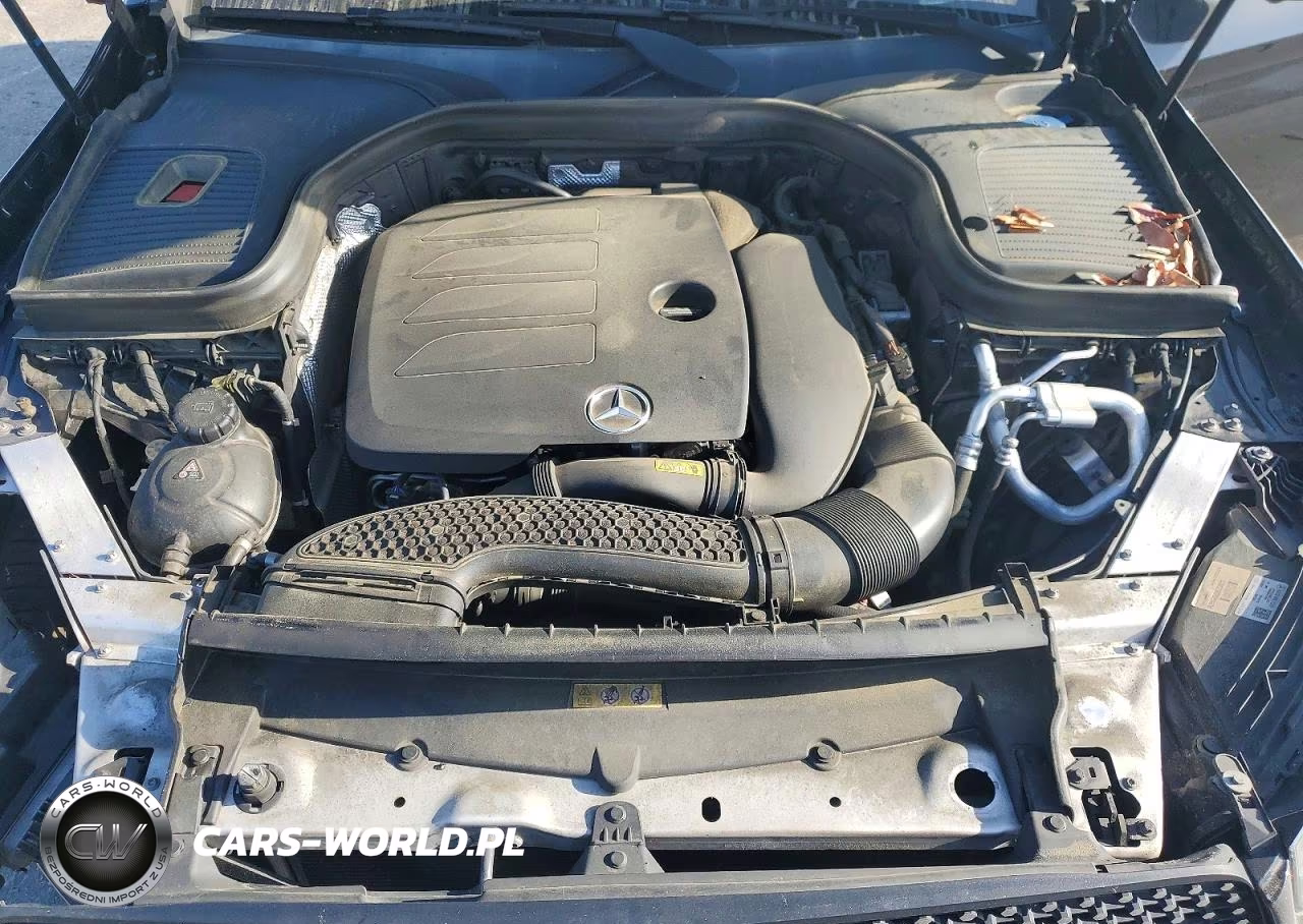 2020 Mercedes-Benz Glc 300 VIN:W1N0G8DB5LF859925 - 12