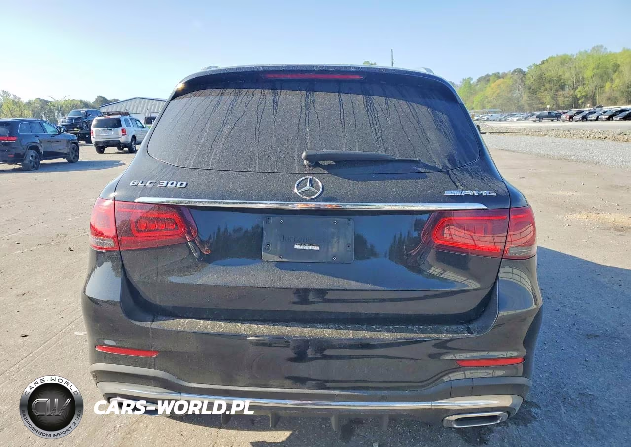 2020 Mercedes-Benz Glc 300 VIN:W1N0G8DB5LF859925 - 6