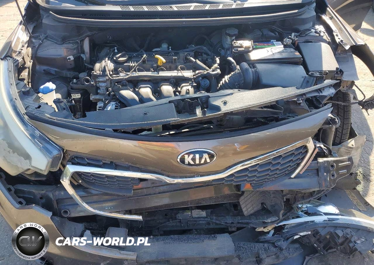 2014 Kia Forte Lx VIN:KNAFX4A6XE5159454 - 11
