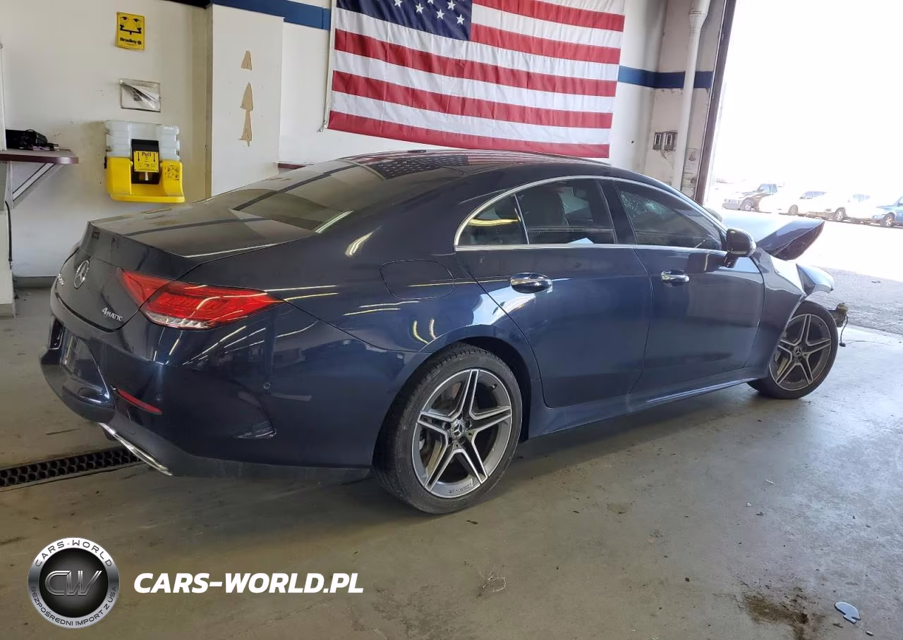 2019 Mercedes-Benz Cls 450 4Matic VIN:WDD2J5KB4KA035595 - 3
