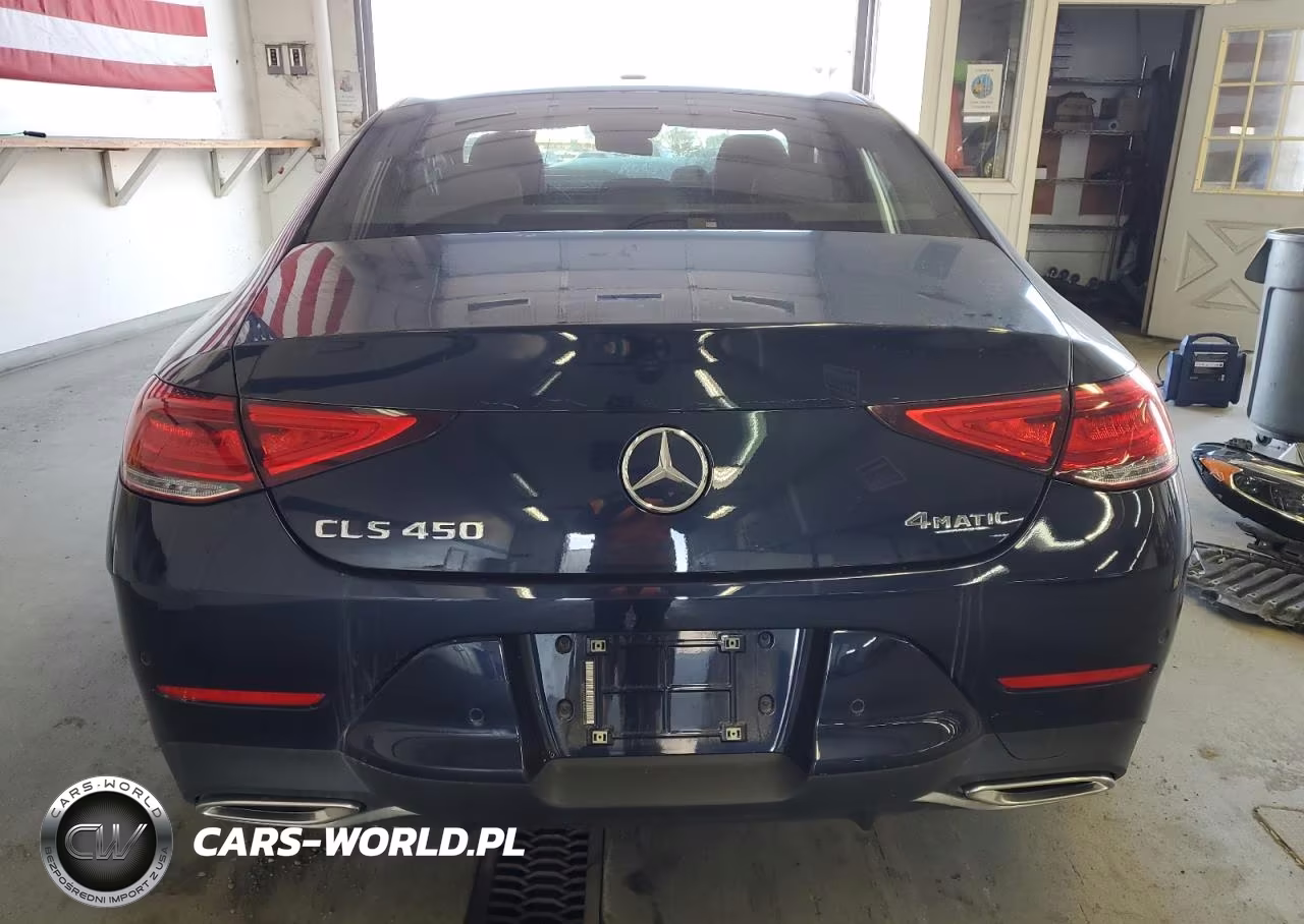 2019 Mercedes-Benz Cls 450 4Matic VIN:WDD2J5KB4KA035595 - 6