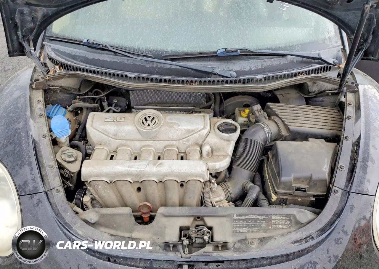 2010 Volkswagen New Beetle VIN:3VWPG3AG3AM018186 - 11
