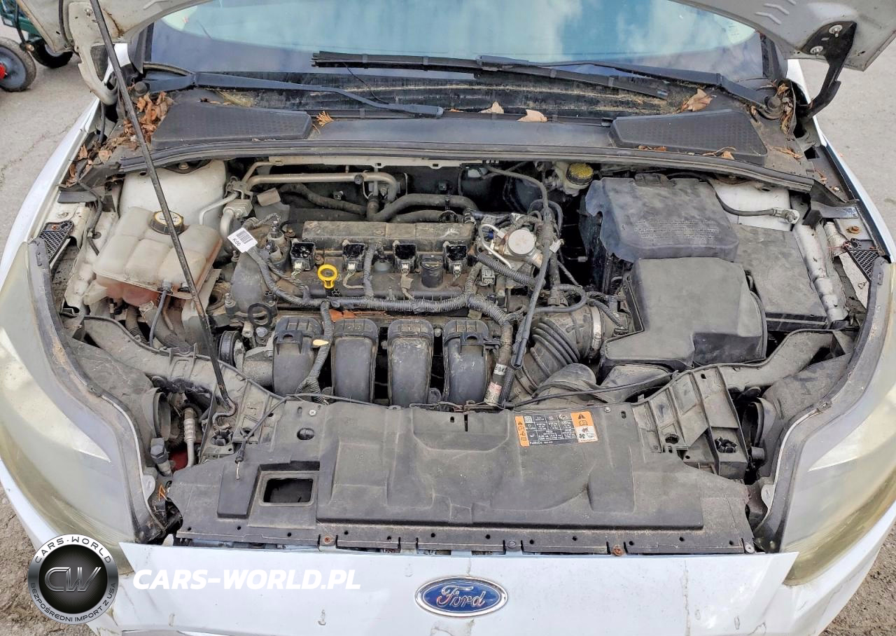 2016 Ford Focus Se VIN:1FADP3F23GL341205 - 11