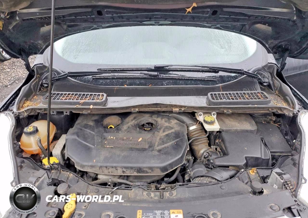 2017 Ford Escape Se VIN:1FMCU0G97HUE46961 - 12