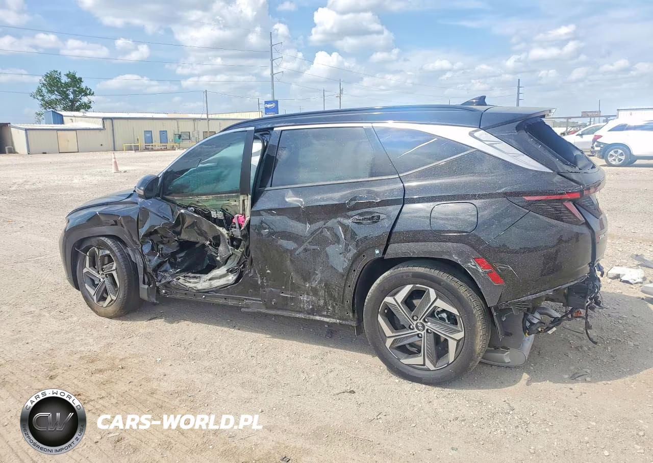 2024 Hyundai Tucson Hybrid Limited VIN:KM8JECD15RU246196 - 2