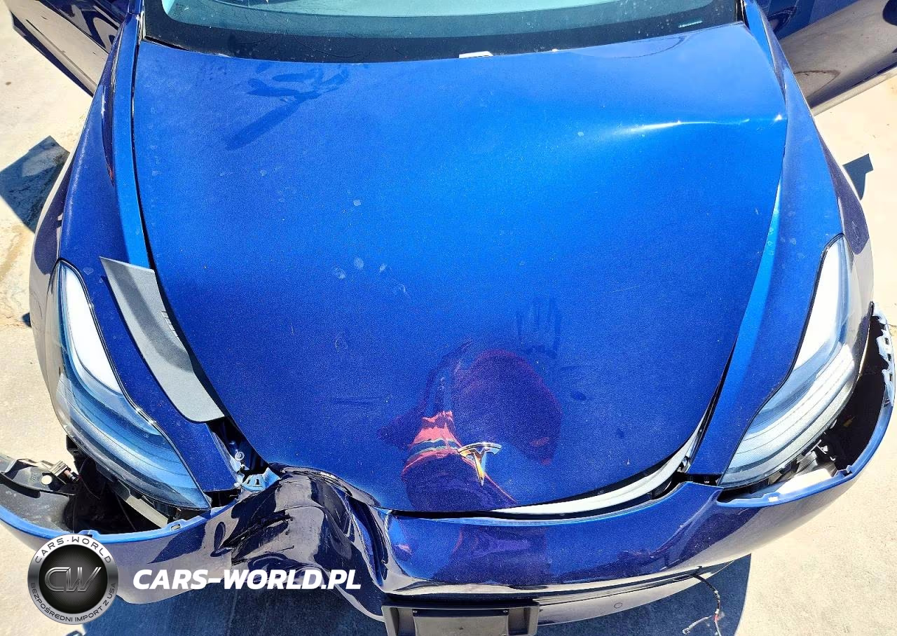 2021 Tesla Model 3 VIN:5YJ3E1EA9MF060503 - 11