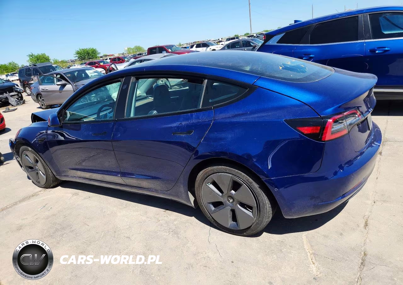 2021 Tesla Model 3 VIN:5YJ3E1EA9MF060503 - 2