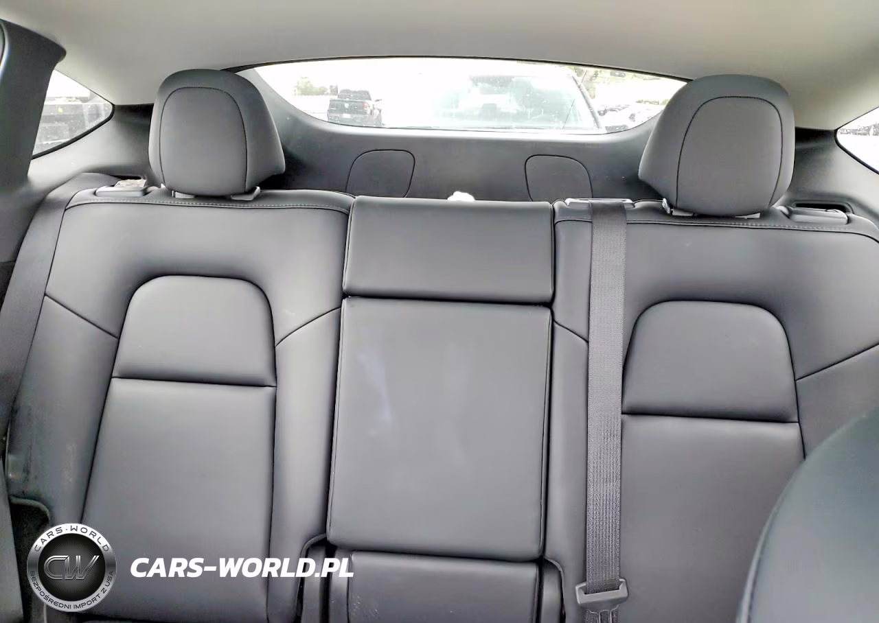 2023 Tesla Model Y VIN:7SAYGDEE7PF675546 - 10