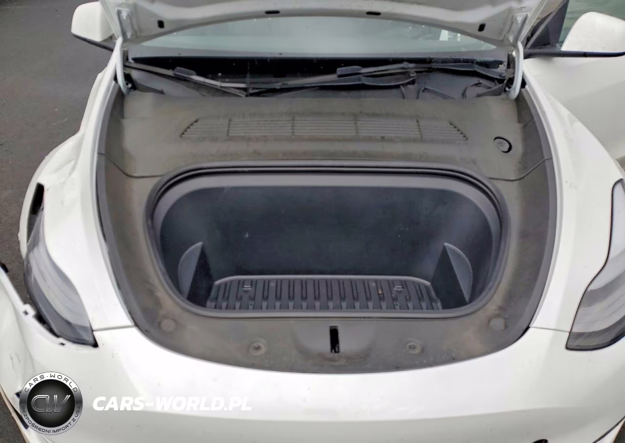 2023 Tesla Model Y VIN:7SAYGDEE7PF675546 - 12