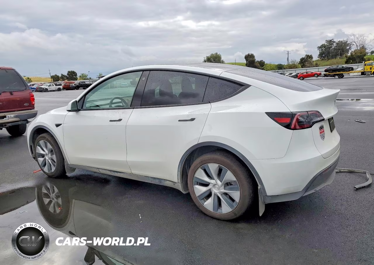 2023 Tesla Model Y VIN:7SAYGDEE7PF675546 - 2