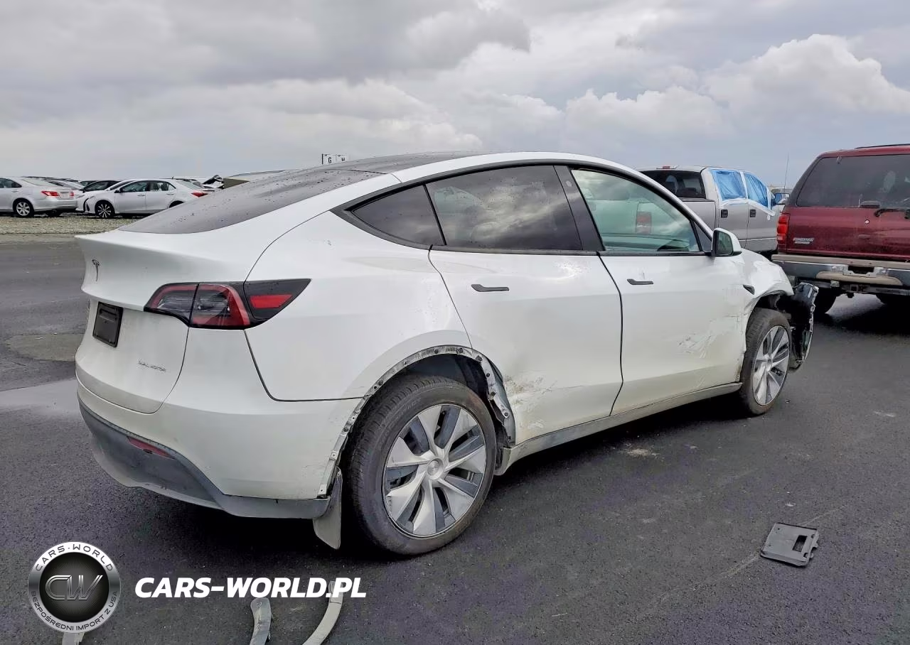 2023 Tesla Model Y VIN:7SAYGDEE7PF675546 - 3