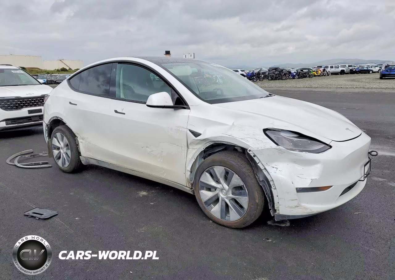 2023 Tesla Model Y VIN:7SAYGDEE7PF675546 - 4