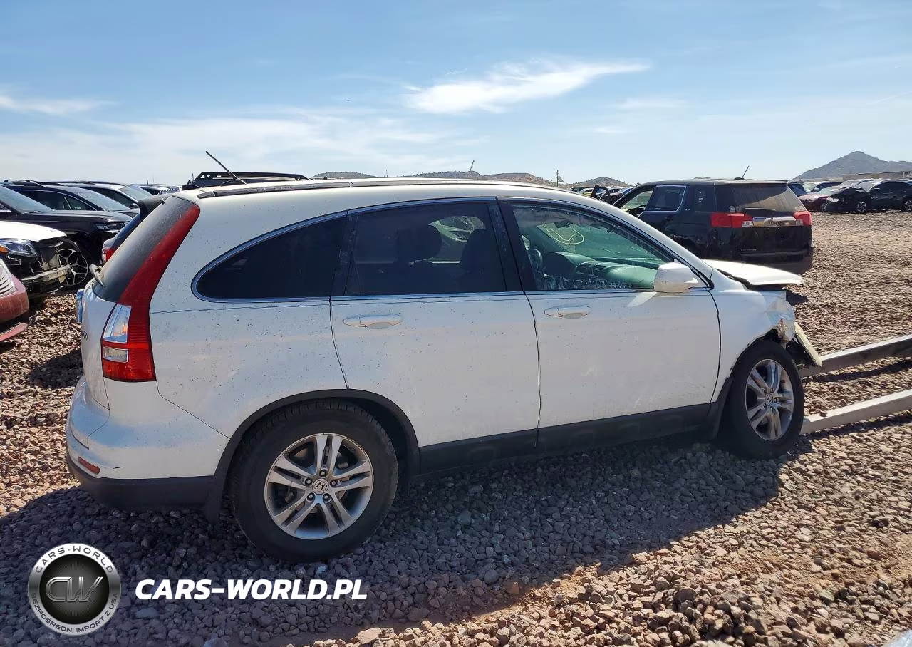 2010 Honda Cr-V Exl VIN:5J6RE4H77AL055556 - 3
