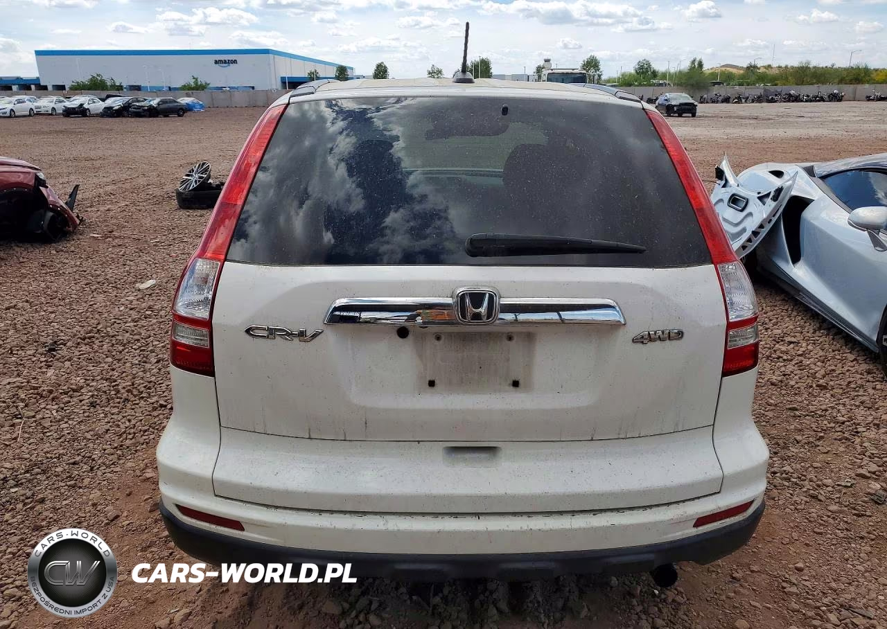 2010 Honda Cr-V Exl VIN:5J6RE4H77AL055556 - 6