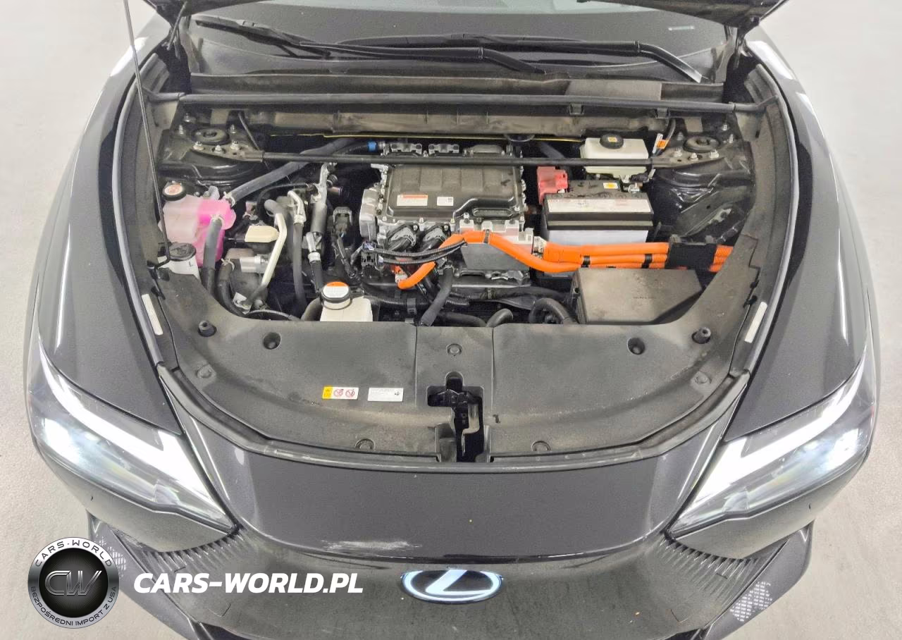 2023 Lexus Rz 450E Premium VIN:JTJAAAAB7PA005401 - 12