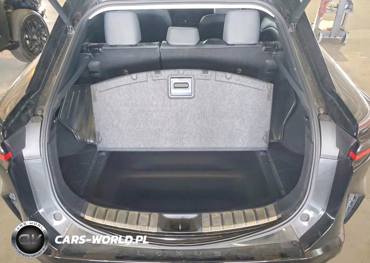 2023 Lexus Rz 450E Premium VIN:JTJAAAAB7PA005401 - 13