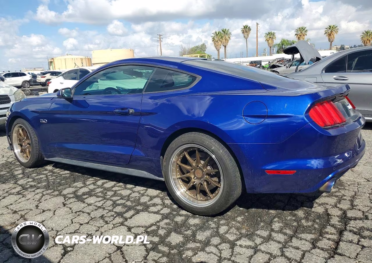 2015 Ford Mustang Gt VIN:1FA6P8CF7F5330076 - 2
