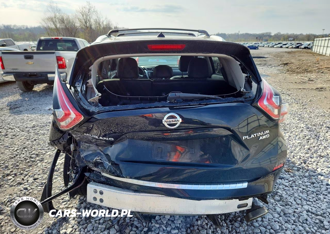 2016 Nissan Murano Platinum VIN:5N1AZ2MH5GN126613 - 6