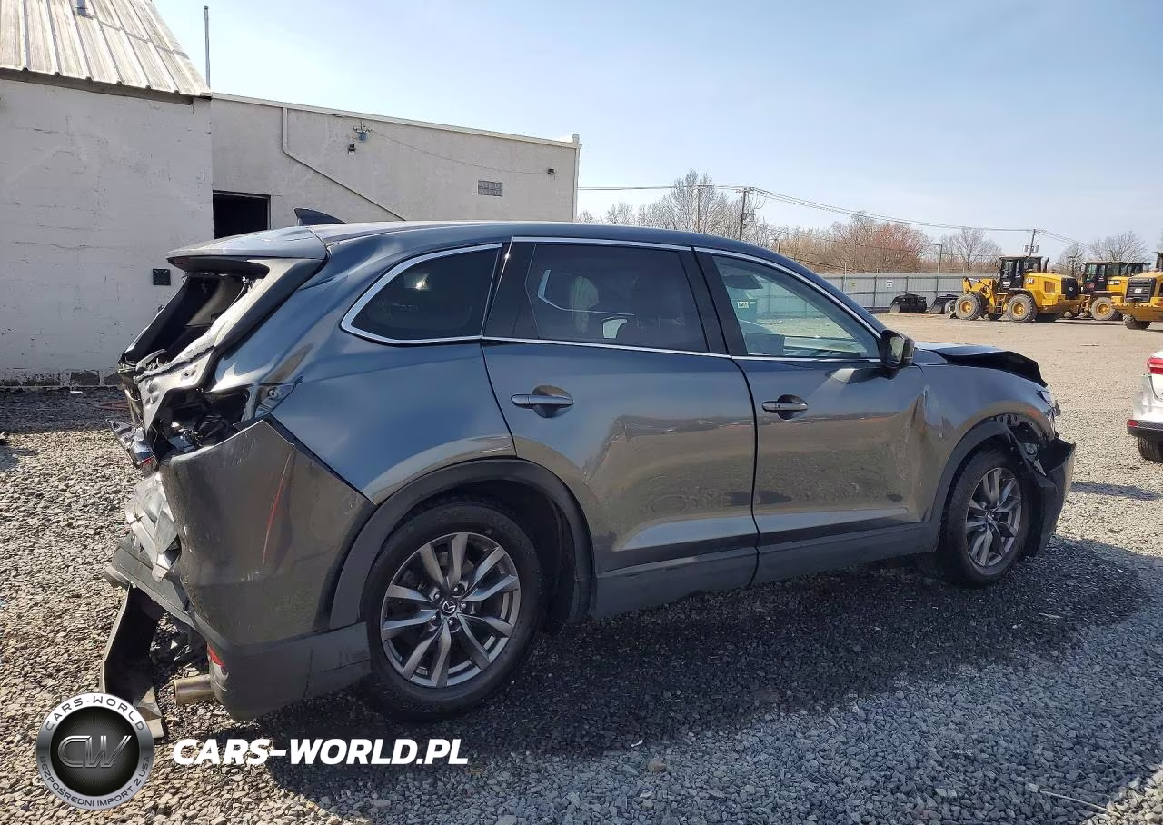 2022 Mazda Cx-9 Touring VIN:JM3TCBCY0N0604650 - 3