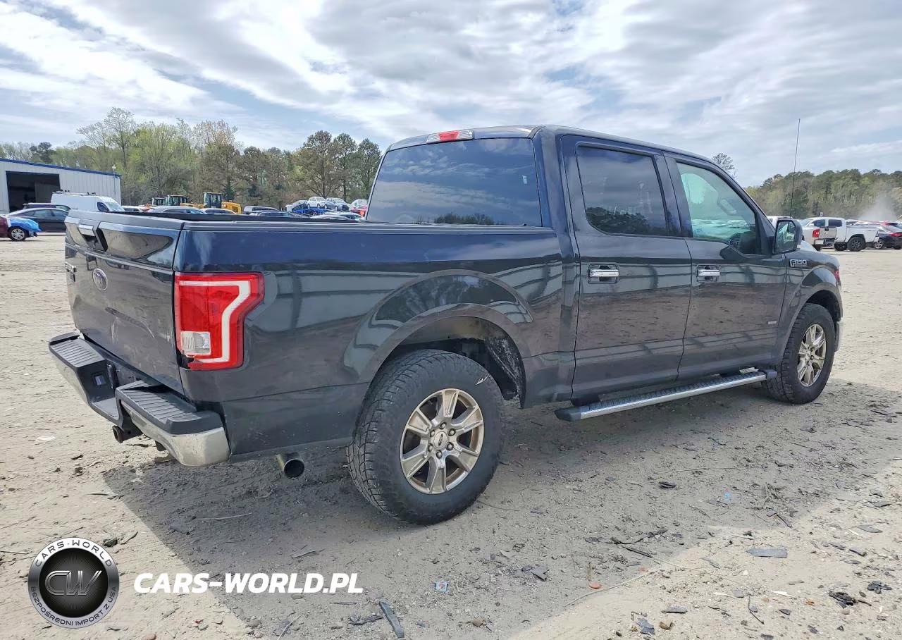 2015 Ford F150 Supercrew VIN:1FTEW1CP0FKF23888 - 3