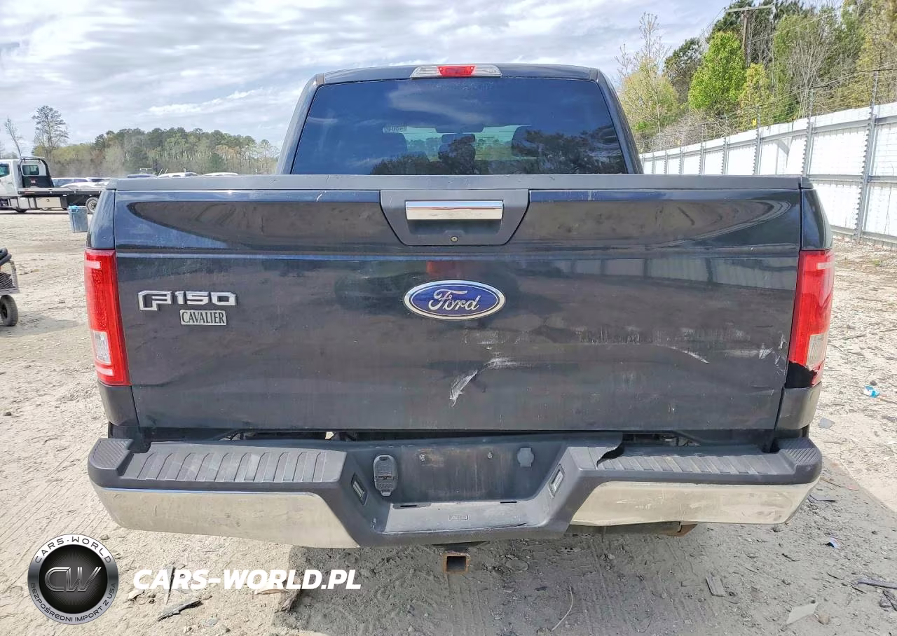 2015 Ford F150 Supercrew VIN:1FTEW1CP0FKF23888 - 6