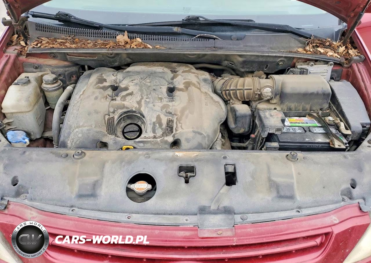 2008 Kia Sedona Lx VIN:KNDMB233986250410 - 12