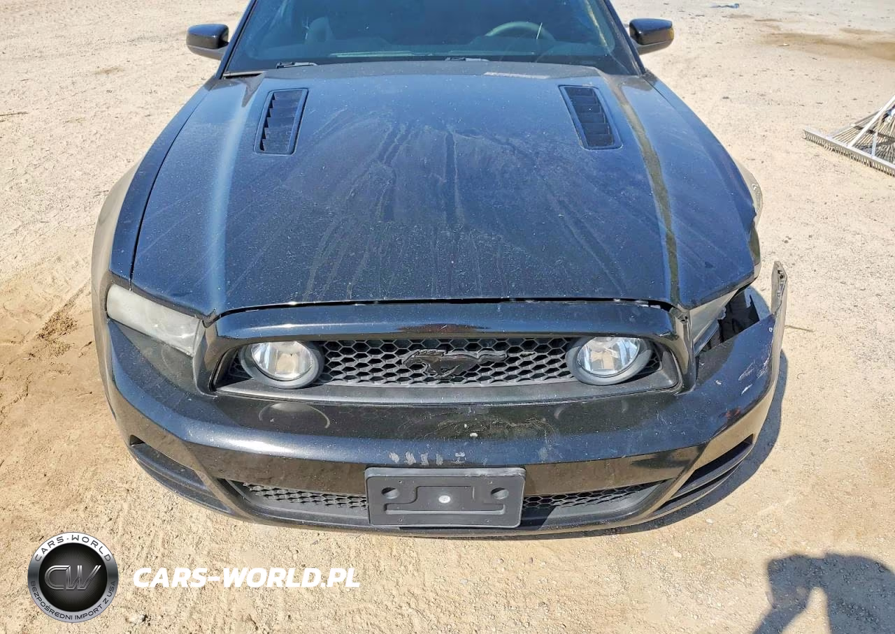 2013 Ford Mustang Gt VIN:1ZVBP8CF8D5213321 - 11