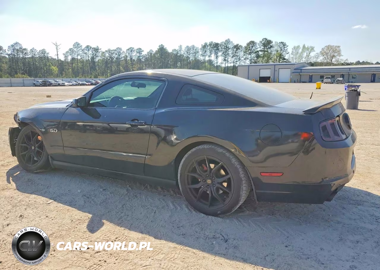 2013 Ford Mustang Gt VIN:1ZVBP8CF8D5213321 - 2