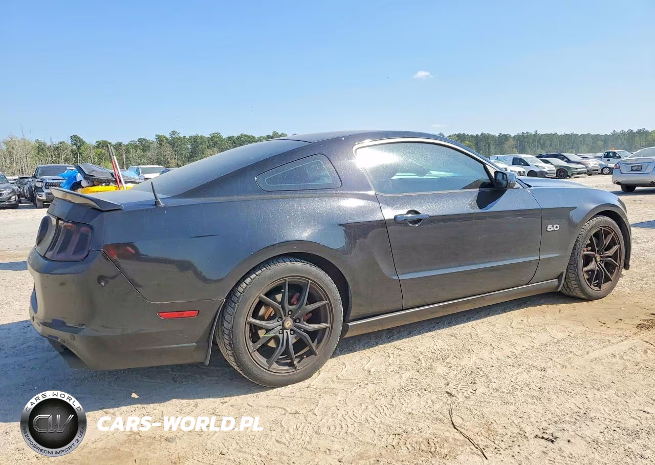 2013 Ford Mustang Gt VIN:1ZVBP8CF8D5213321 - 3
