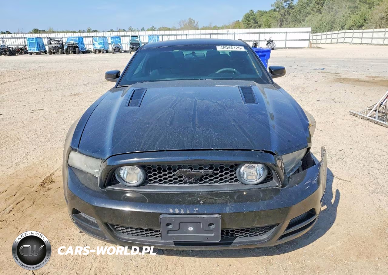 2013 Ford Mustang Gt VIN:1ZVBP8CF8D5213321 - 5