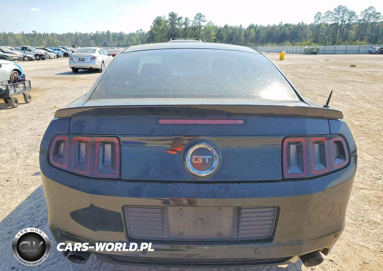 2013 Ford Mustang Gt VIN:1ZVBP8CF8D5213321 - 6