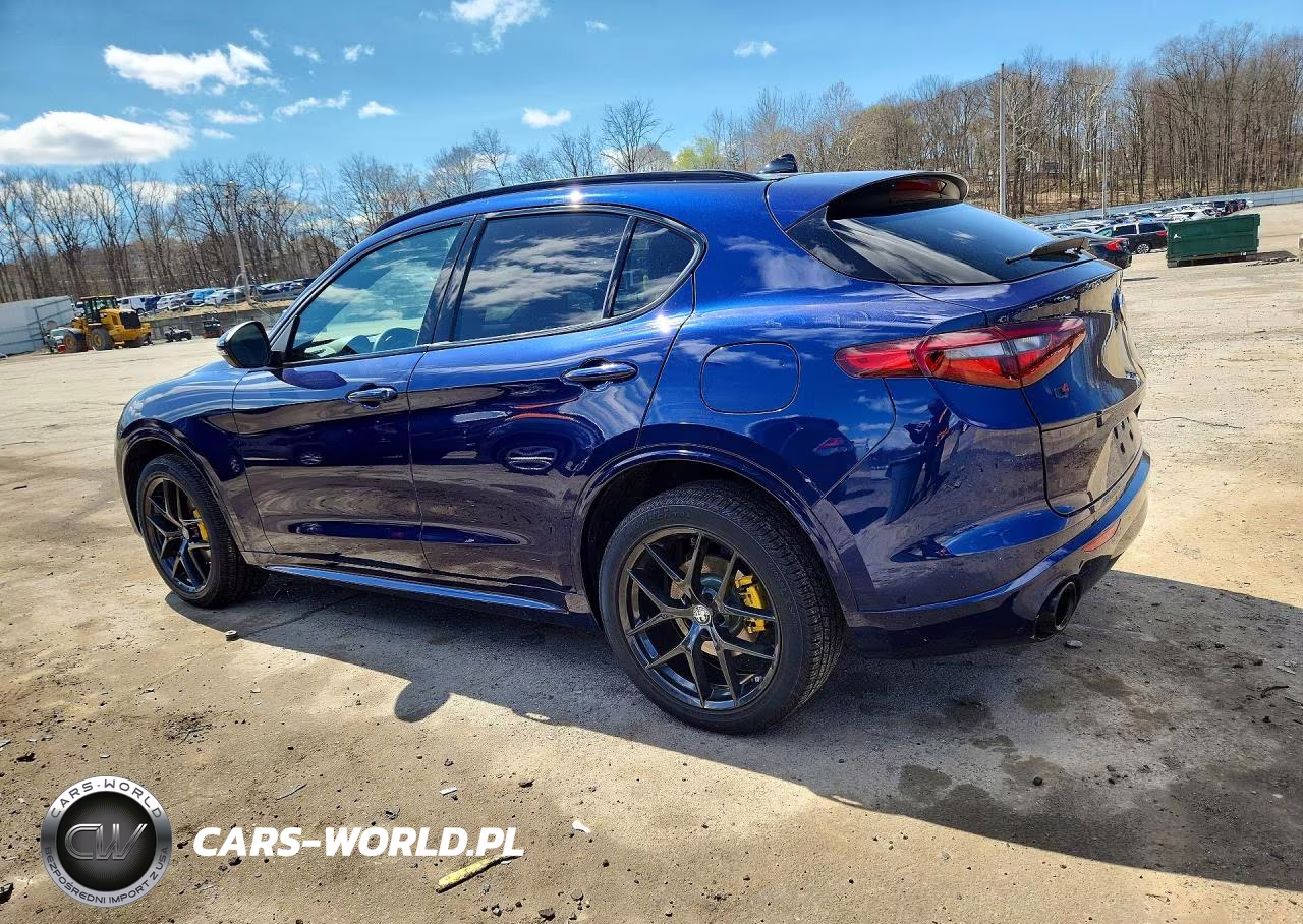 2020 Alfa Romeo Stelvio Ti VIN:ZASPAKBN8L7C86022 - 2