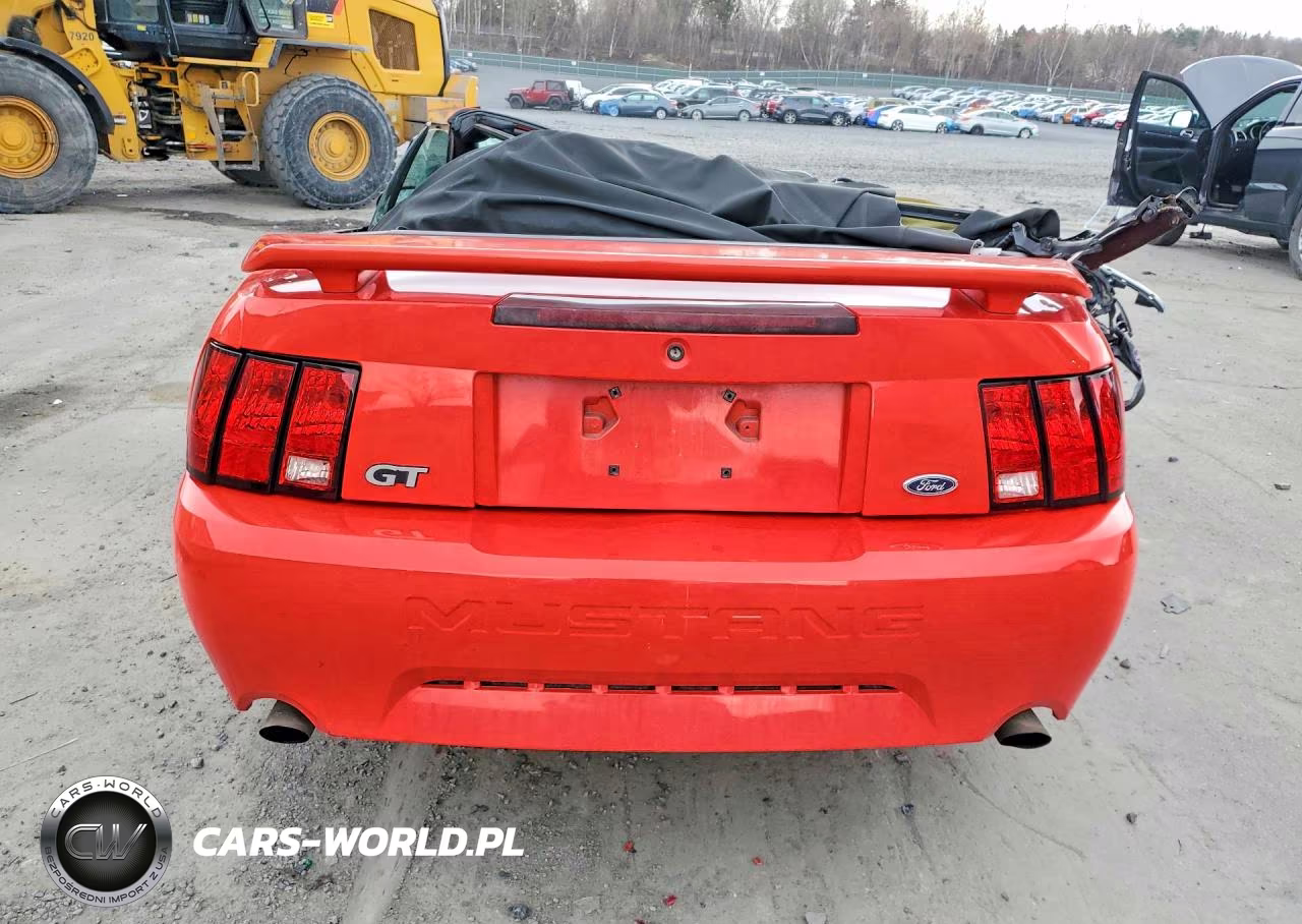 2001 Ford Mustang Gt VIN:1FAFP45X81F237116 - 6