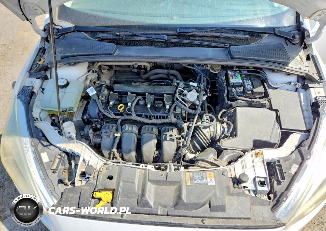 2016 Ford Focus Se VIN:1FADP3F29GL360583 - 11