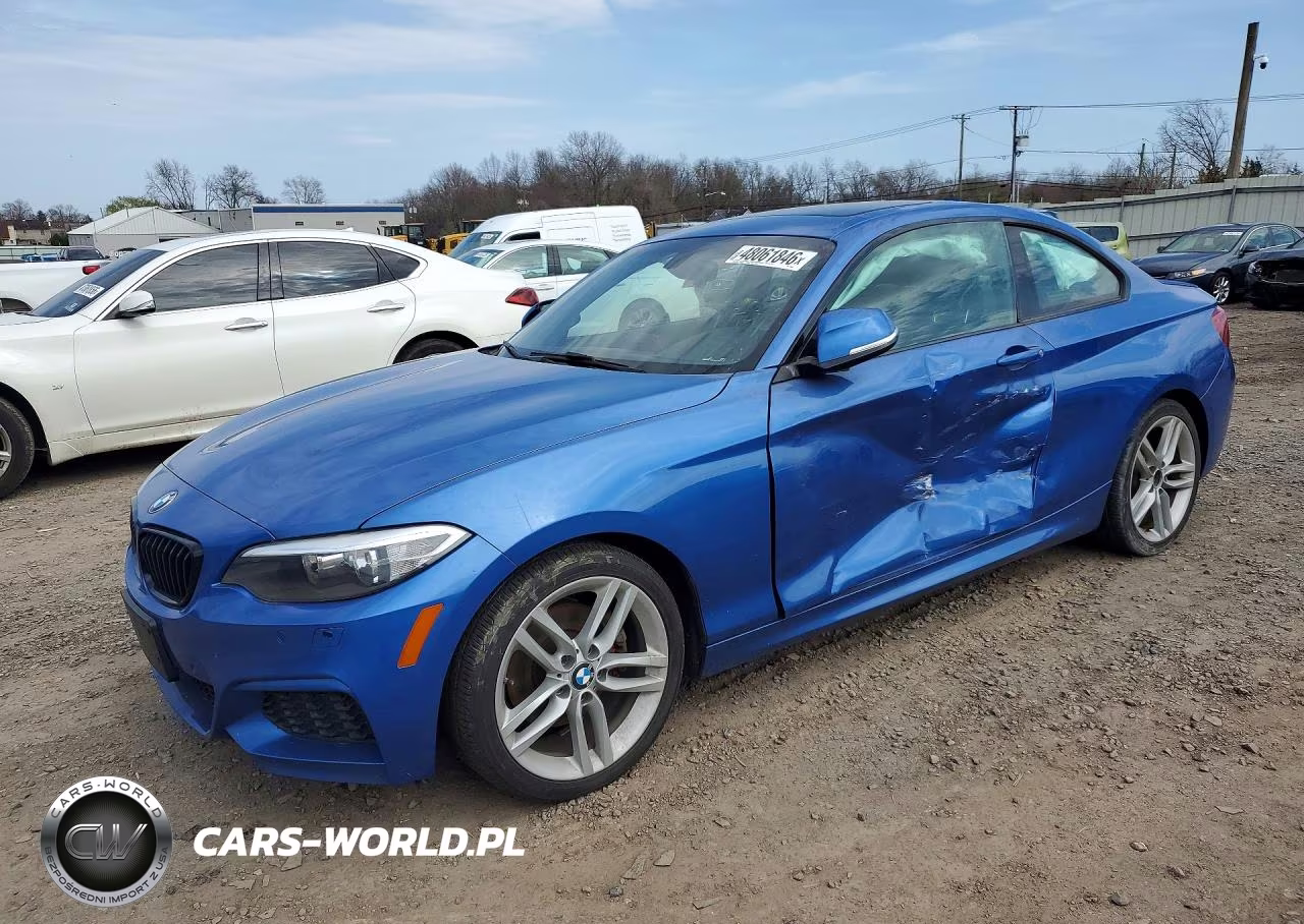 2015 BMW 228 Xi Sulev
