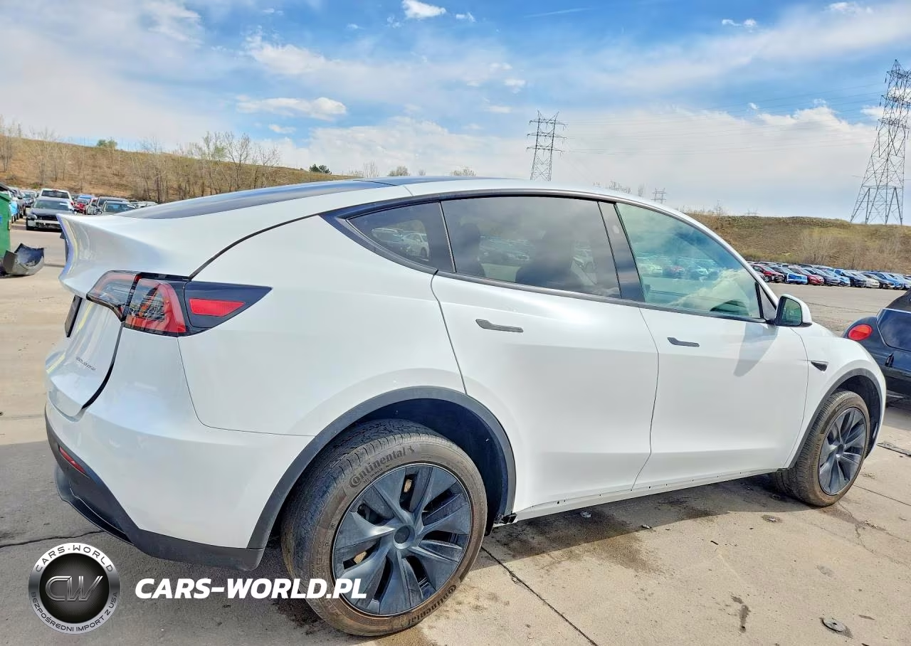 2024 Tesla Model Y VIN:7SAYGDEE6RA291855 - 3