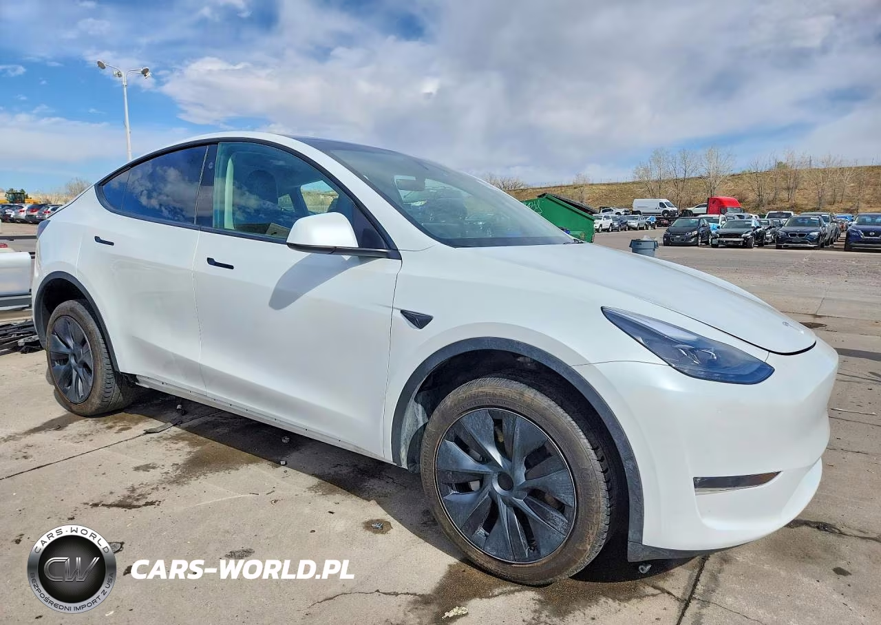 2024 Tesla Model Y VIN:7SAYGDEE6RA291855 - 4