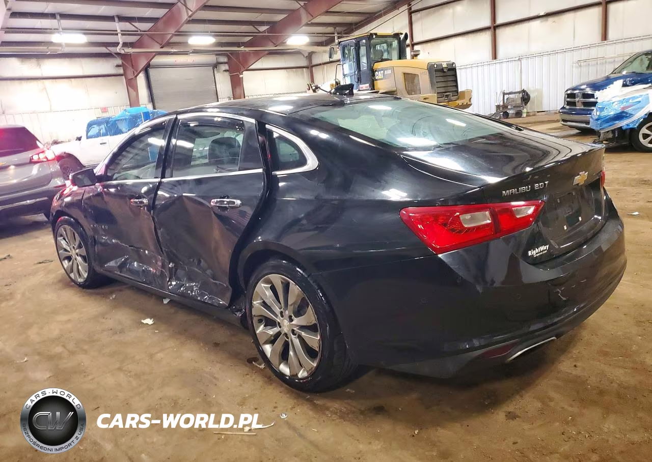 2017 Chevrolet Malibu Premier VIN:1G1ZH5SX5HF138724 - 2