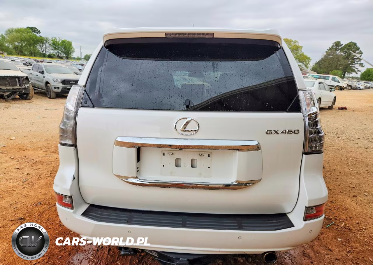 2019 Lexus Gx 460 Base VIN:JTJBM7FX6K5224175 - 6