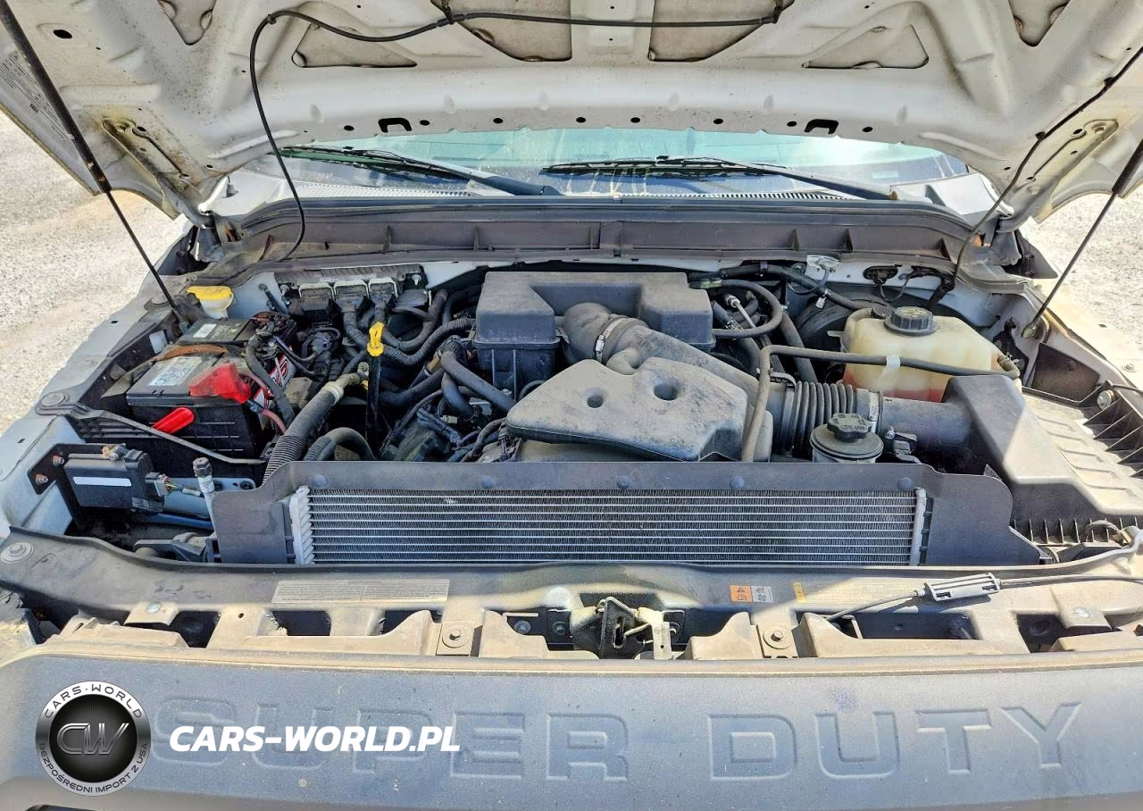 2013 Ford F250 Super Duty VIN:1FTBF2A66DEB82365 - 11