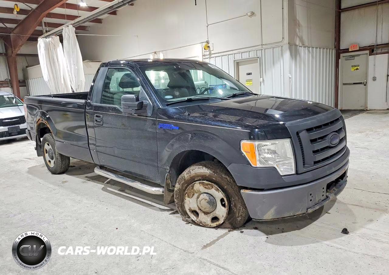 2009 Ford F150 VIN:1FTRF12W69KA94609 - 4