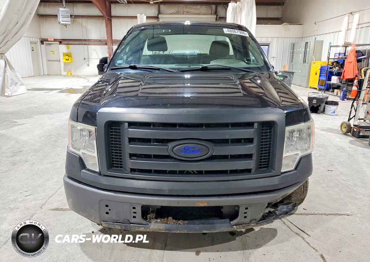 2009 Ford F150 VIN:1FTRF12W69KA94609 - 5