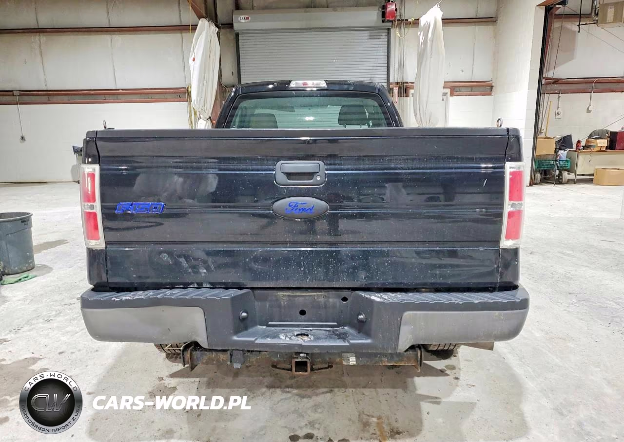 2009 Ford F150 VIN:1FTRF12W69KA94609 - 6
