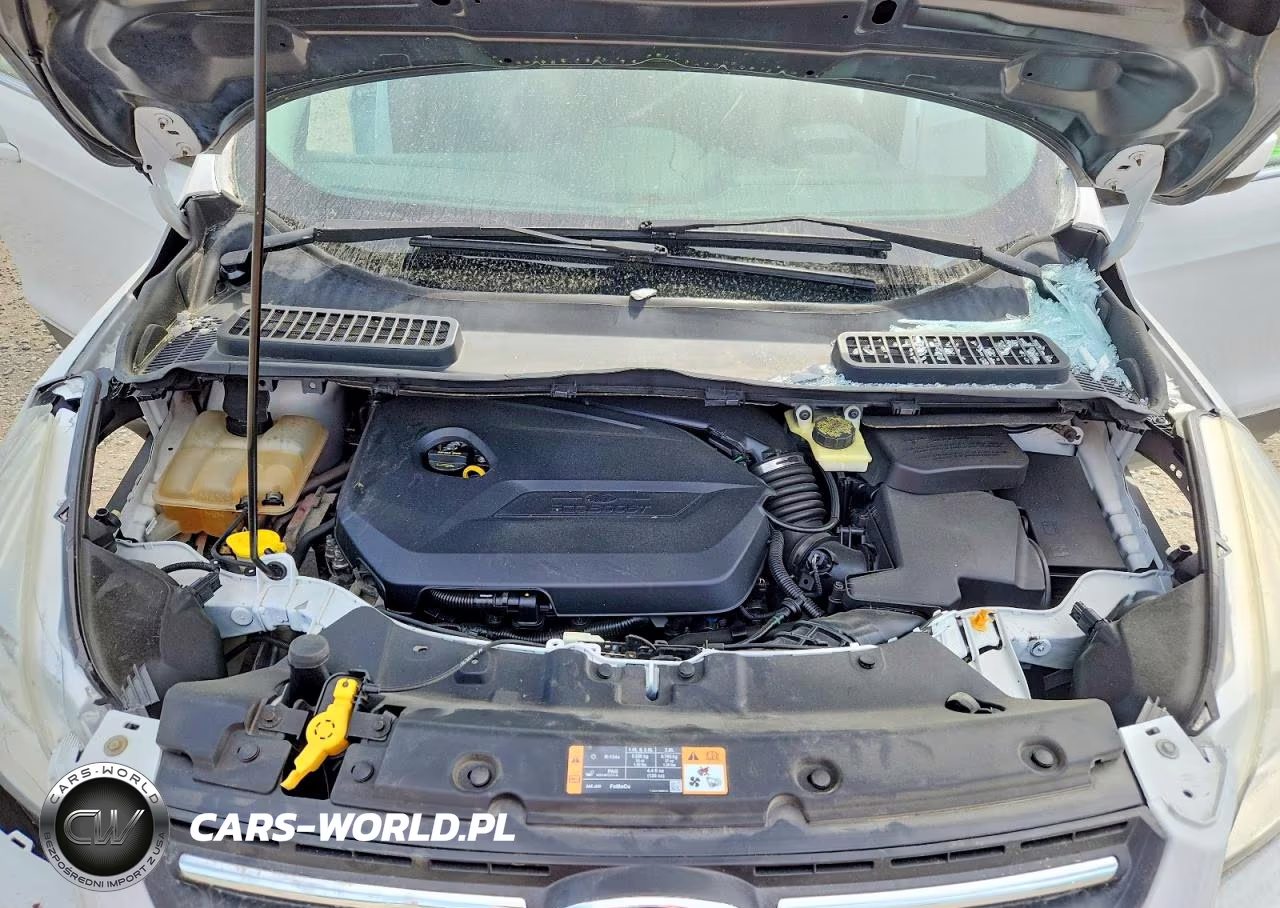 2014 Ford Escape Se VIN:1FMCU9GXXEUE54180 - 12