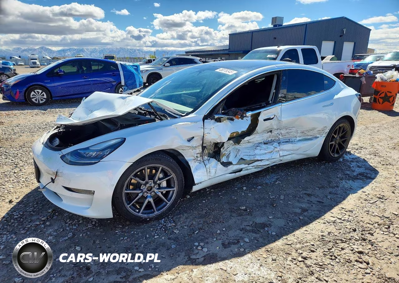 2019 Tesla Model 3