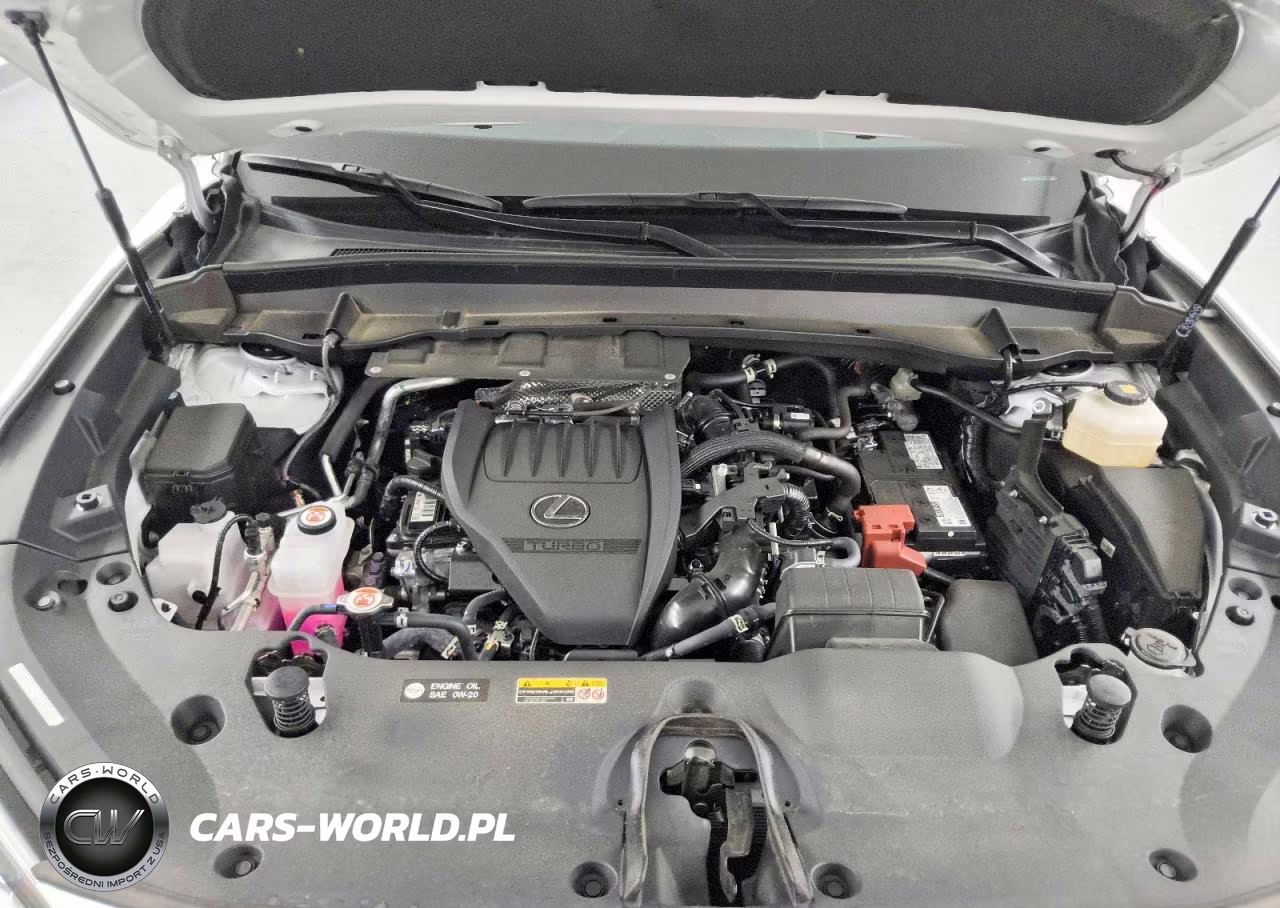 2025 Lexus Tx 350 Premium VIN:5TDAAAA6XSS017284 - 12