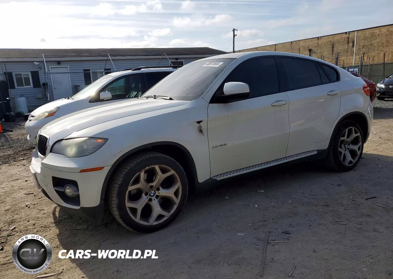 2010 BMW X6 xDrive35I