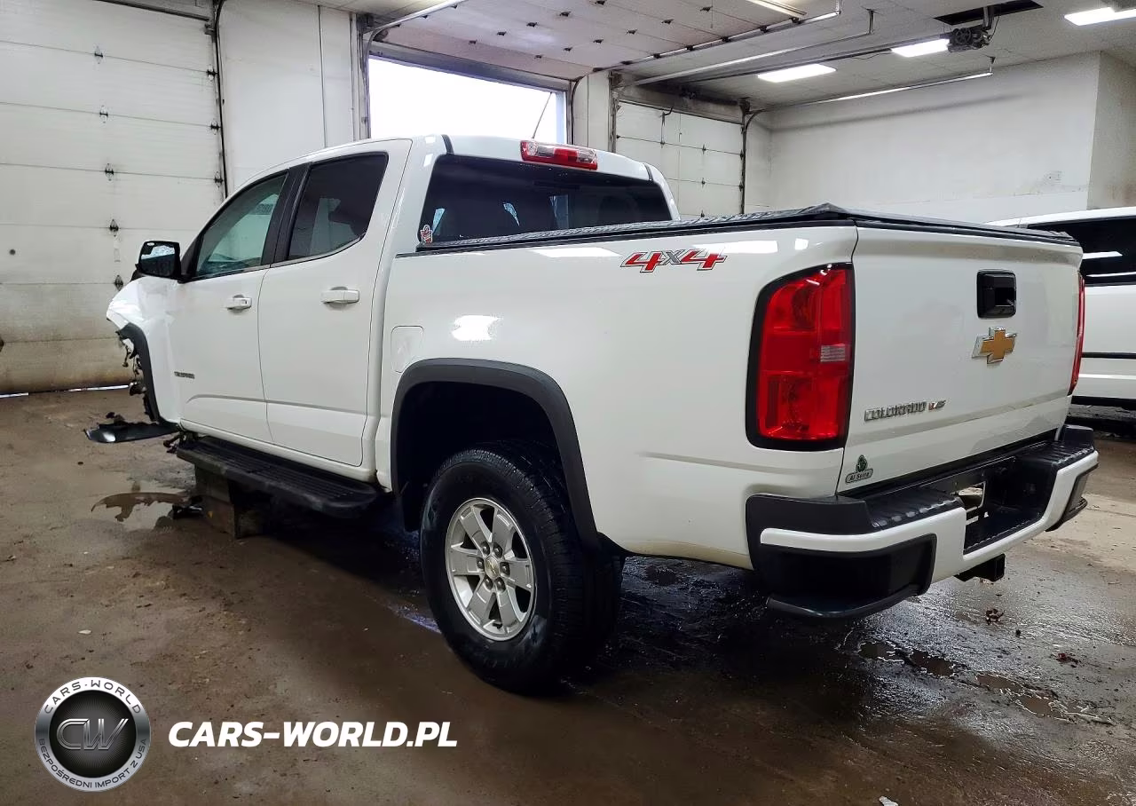 2019 Chevrolet Colorado VIN:1GCGTBEN4K1318027 - 2