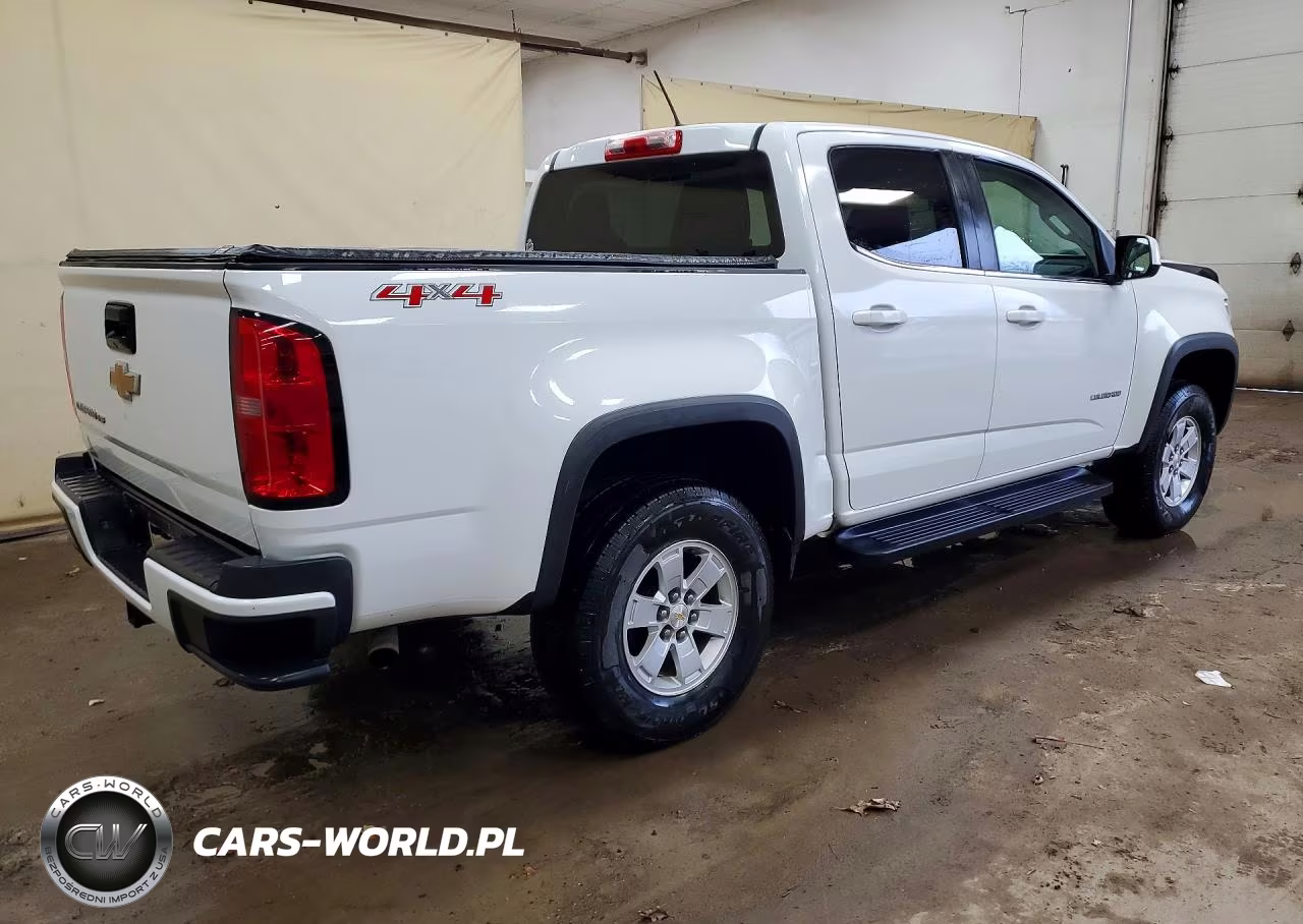 2019 Chevrolet Colorado VIN:1GCGTBEN4K1318027 - 3