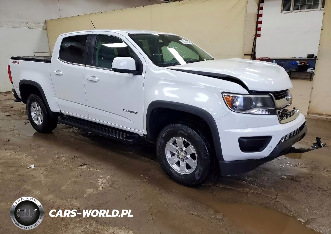 2019 Chevrolet Colorado VIN:1GCGTBEN4K1318027 - 4